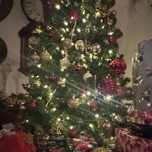 Meet your Posher, Alisa